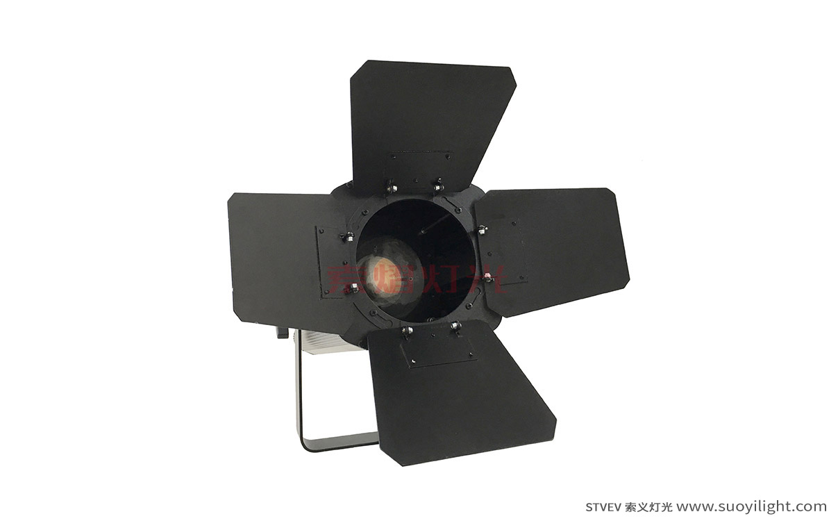 Italy200W LED Thread Zoom Spot Light