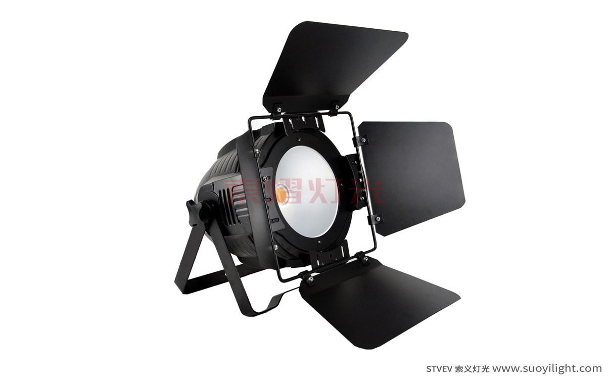 Italy200W COB LED Par Light