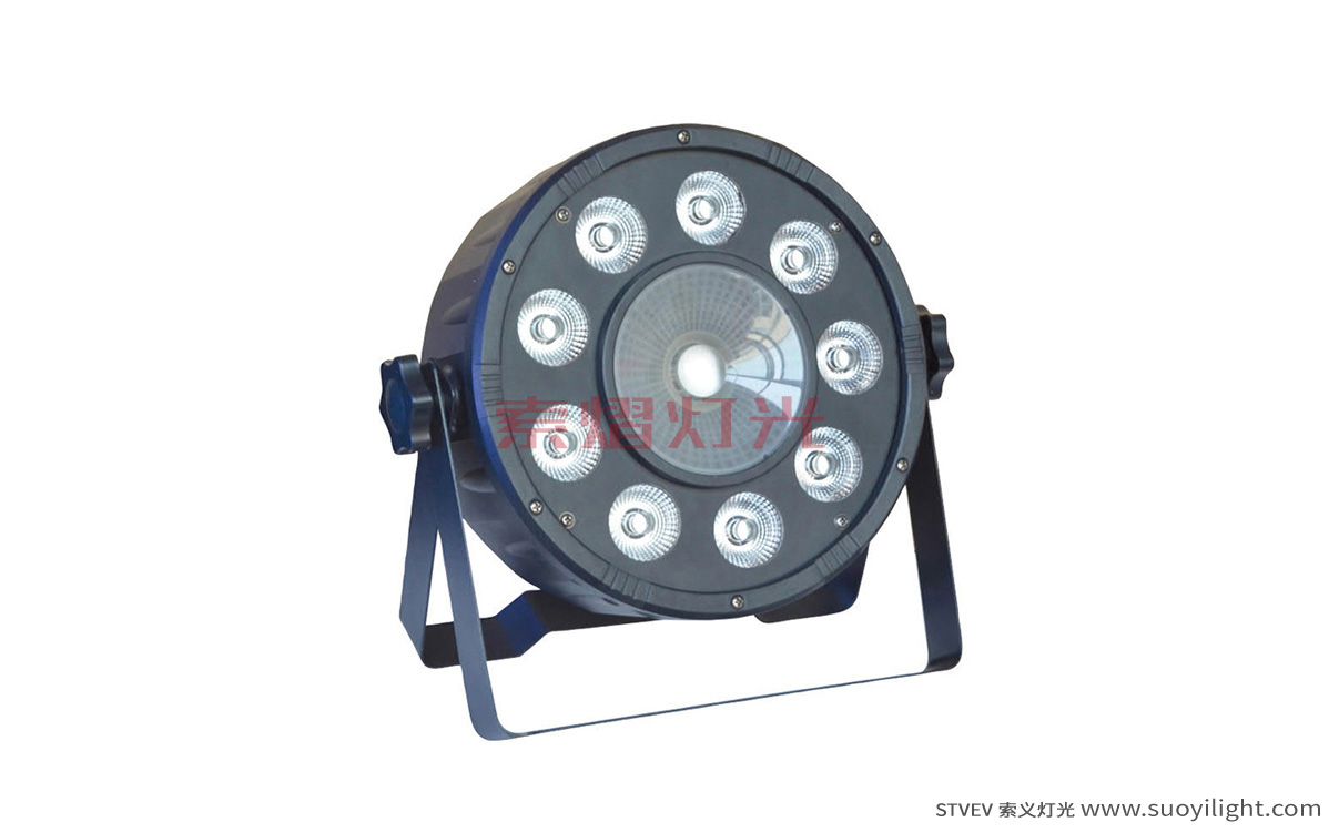 Italy9+1 LED Plastic Par Light