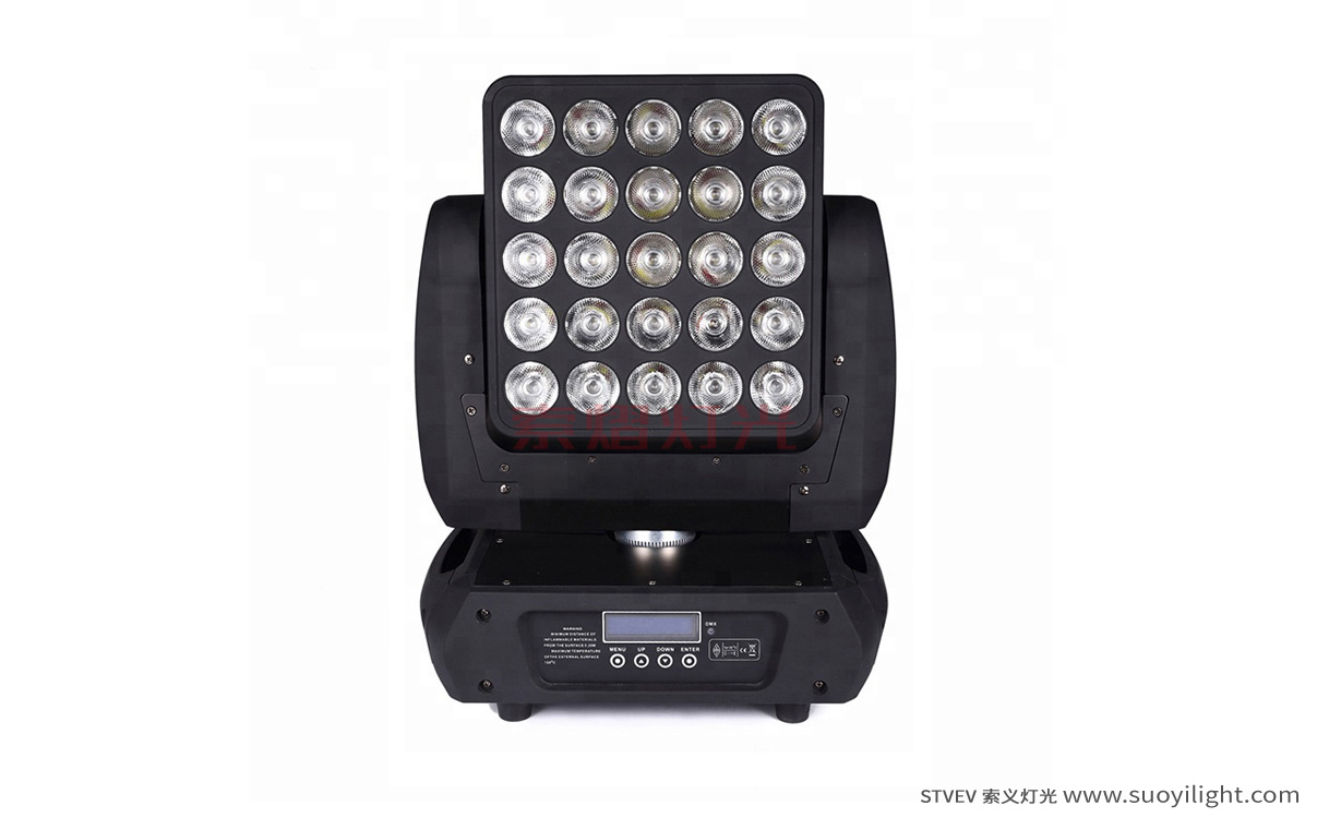 Italy25pcs Matrix LED Light
