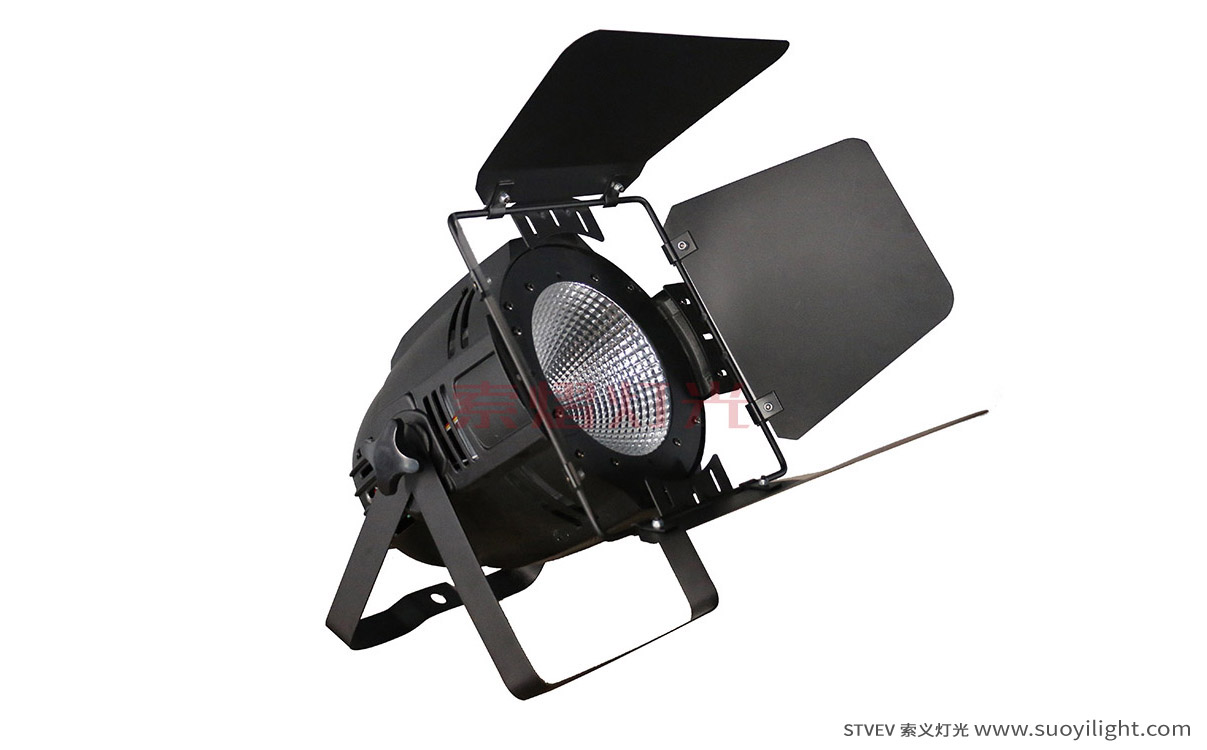 Italy100W LED COB Par Light