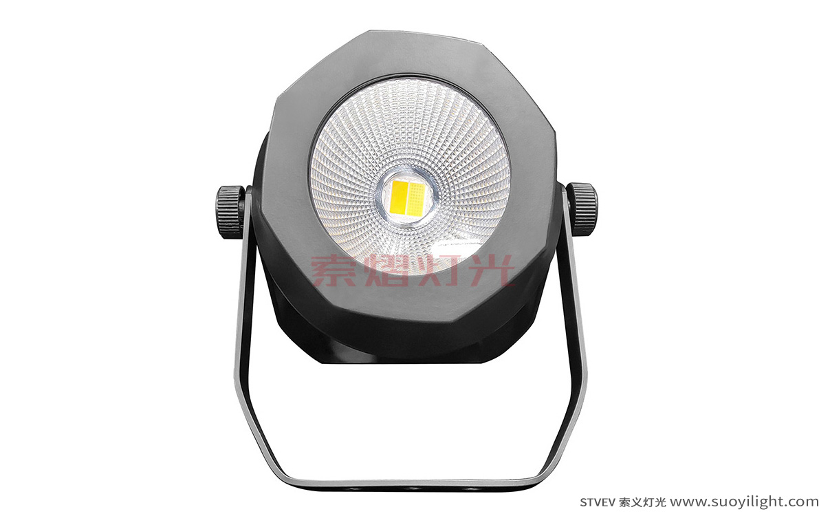 Italy200W Waterproof COB Par Light